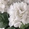 White Hydrangea Bush by Ashland®